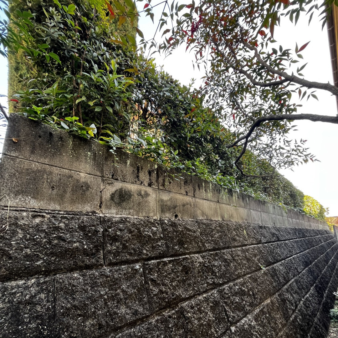 サン建材トーヨー住器の🌴🌲生垣の手入れが重荷になっていませんか？もう庭木の手入れで無理はしない😊👌の施工前の写真2