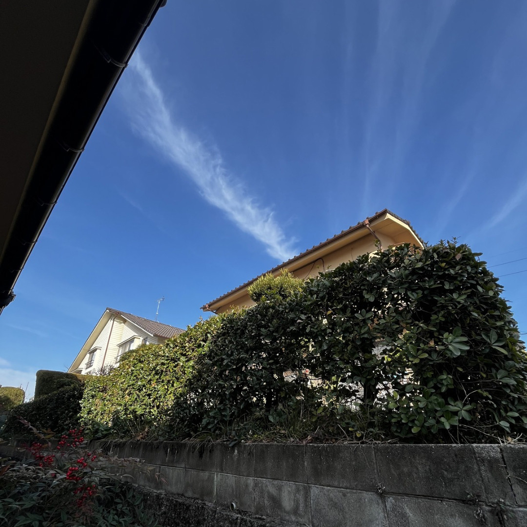 サン建材トーヨー住器の🌴🌲生垣の手入れが重荷になっていませんか？もう庭木の手入れで無理はしない😊👌の施工前の写真3