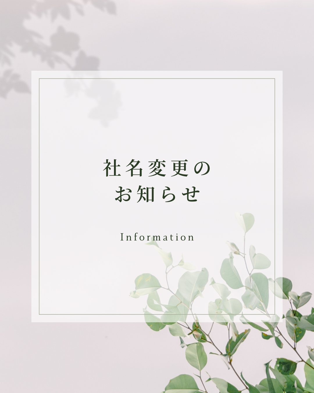 会社名変更のお知らせ 光トーヨーのブログ 写真1