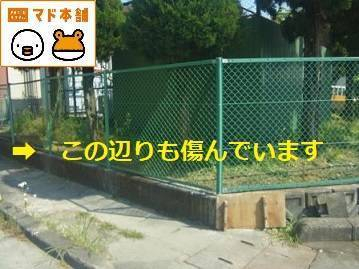 竹原屋本店の☆コンクリートの欠損補修作業(^-^)の施工後の写真2