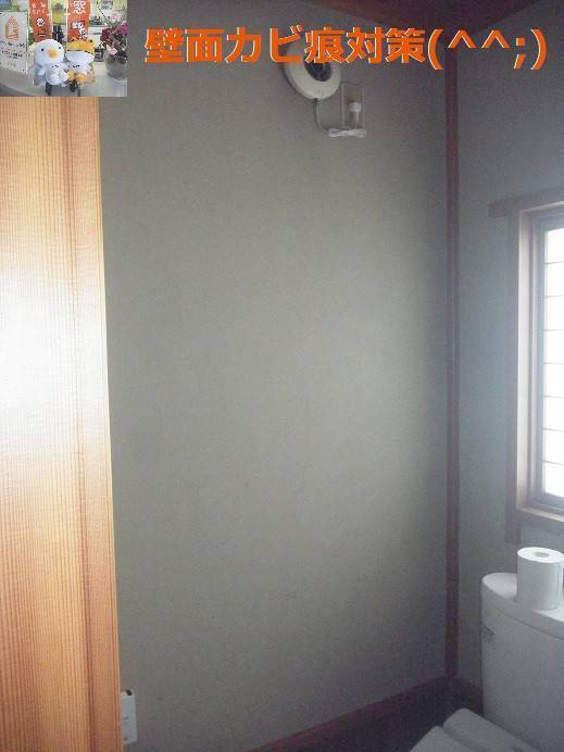 竹原屋本店の#お悩みご相談👉カビ痕の修復(・ω・)ノの施工後の写真1