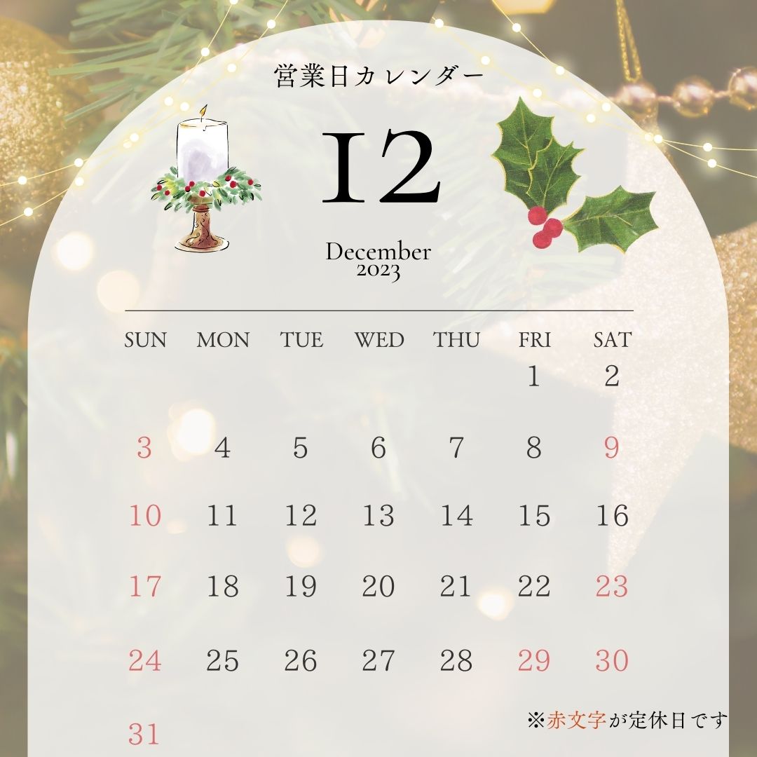 🎄🎅🌟12月営業日カレンダー🌟🫎🎄 アルロのイベントキャンペーン 写真1