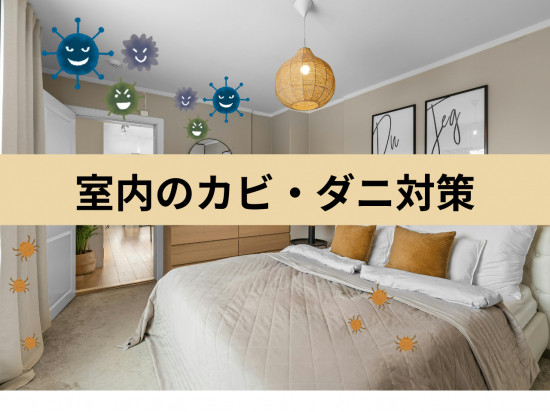 次のブログ