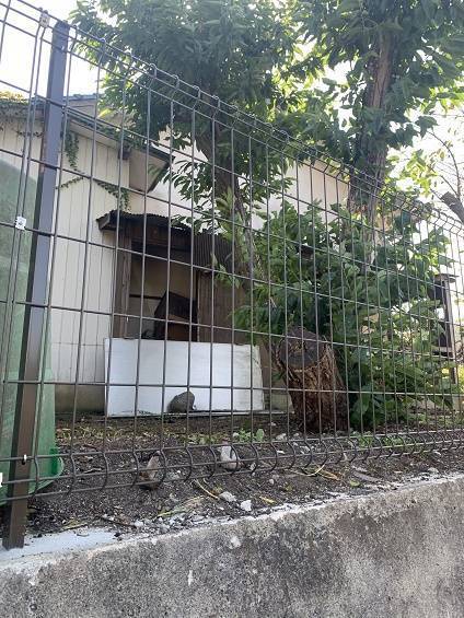 小林エコ建材の安全のためにブロック塀を撤去してフェンスを設置したいの施工後の写真3