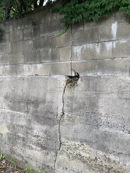小林エコ建材の安全のためにブロック塀を撤去してフェンスを設置したいの施工前の写真2