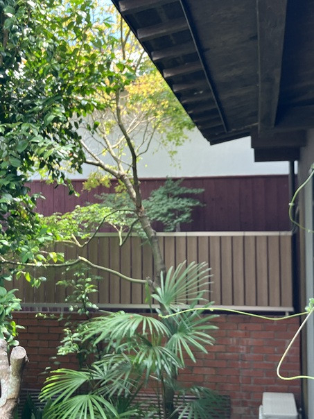 小林エコ建材の木製フェンスからアルミフェンスへ交換でお庭をスタイリッシュにの施工後の写真3