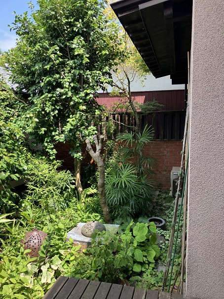 小林エコ建材の木製フェンスからアルミフェンスへ交換でお庭をスタイリッシュにの施工前の写真2