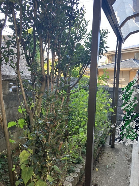 小林エコ建材の使っていなかった裏庭が大変身!   洗濯がラクになるテラス囲い取り付け工事の施工前の写真1