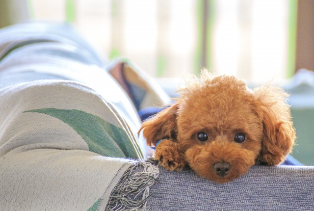 LIXIL インプラス｜寒さだけじゃない！防音対策にも！ 羽後トーヨー住器のブログ 写真1