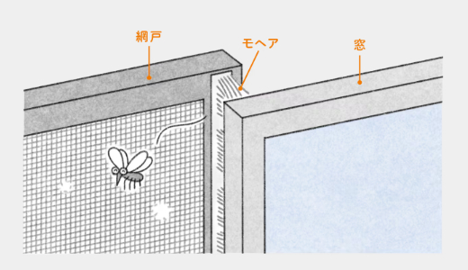 🐝虫が入ってくるのはなぜ！？ 正しい網戸の使い方とは？ 更埴トーヨー住器のブログ 写真3
