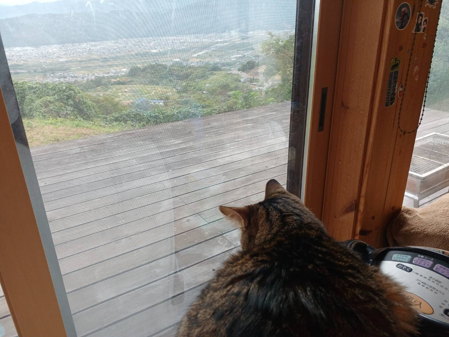 🐈お家の見張り番🐈 更埴トーヨー住器のブログ 写真2