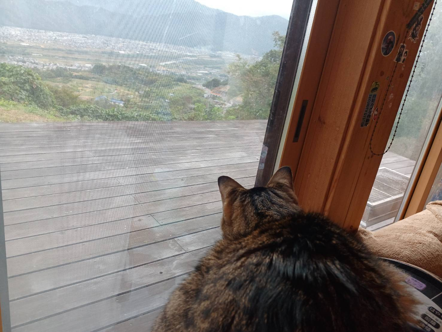 🐈お家の見張り番🐈 更埴トーヨー住器のブログ 写真1