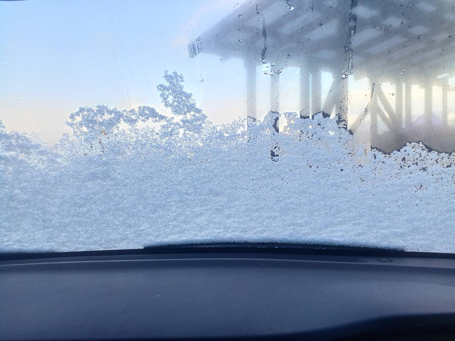 🐈猫と初雪🐈 更埴トーヨー住器のブログ 写真2
