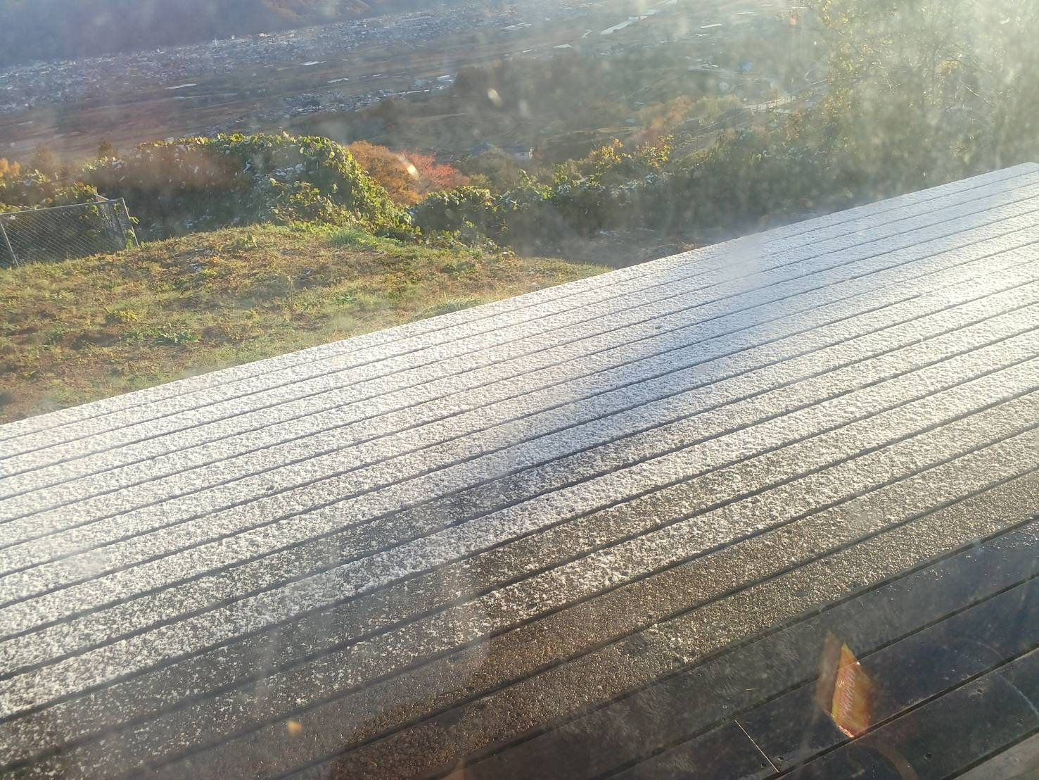 🐈猫と初雪🐈 更埴トーヨー住器のブログ 写真1