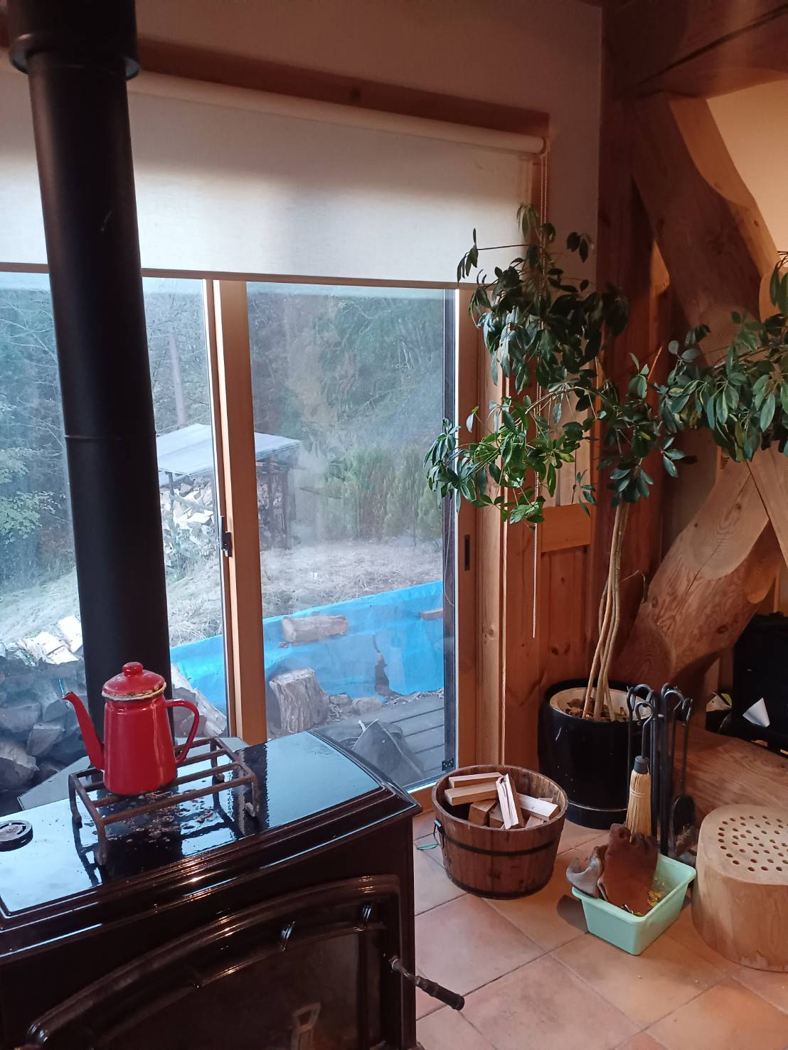 🐈にゃんこと暖炉🐈 更埴トーヨー住器のブログ 写真3