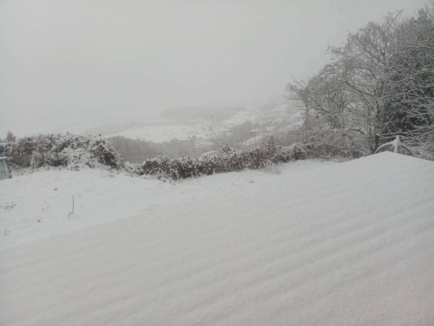 🐈猫と雪🐈 更埴トーヨー住器のブログ 写真1