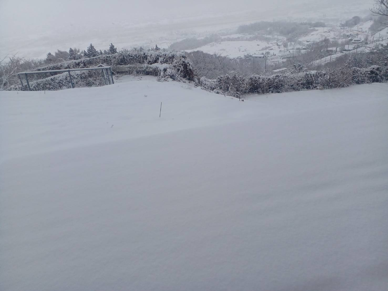 🐈にゃんこと過ごす、寒い季節🐈 更埴トーヨー住器のブログ 写真1