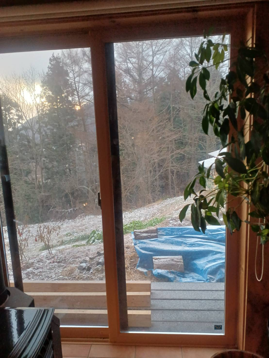 🐈にゃんこと過ごす、寒い季節🐈 更埴トーヨー住器のブログ 写真5