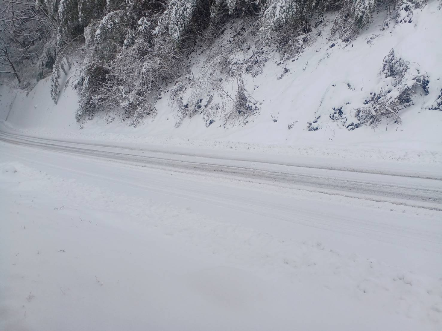 🐈にゃんこと過ごす、寒い季節🐈 更埴トーヨー住器のブログ 写真2