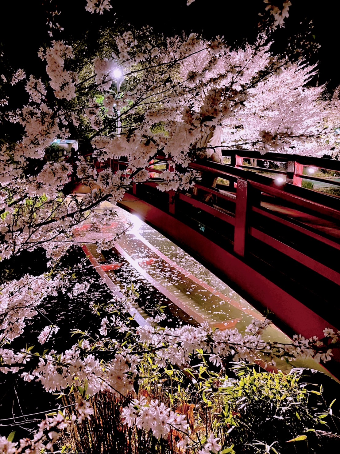 ついに…高校入学🌸 更埴トーヨー住器のブログ 写真3