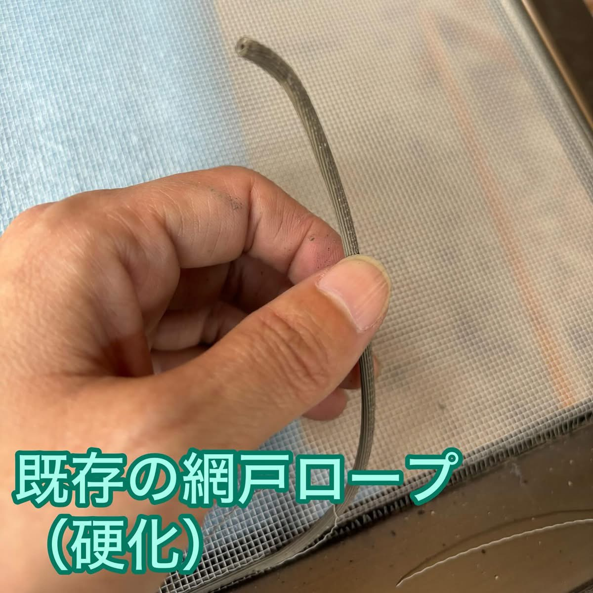 網戸の張替えはいかがですか？ MITSUWA 西尾のブログ 写真3