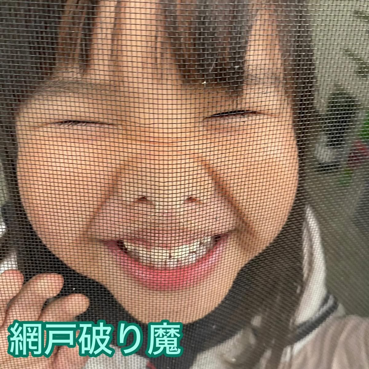 網戸の張替えはいかがですか？ MITSUWA 西尾のブログ 写真8