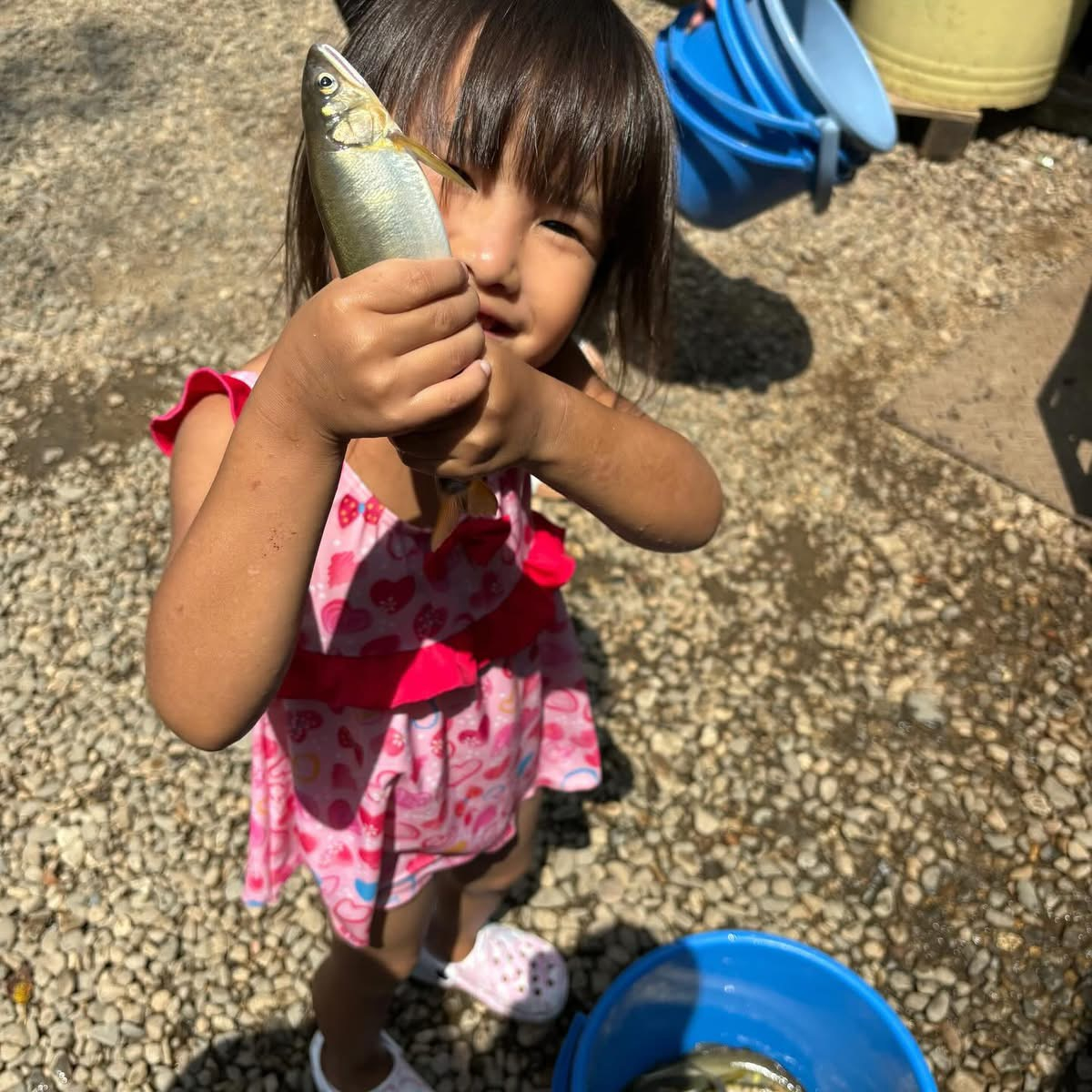 ✳︎MITSUWAの夏休み✳︎ MITSUWA 西尾のブログ 写真1