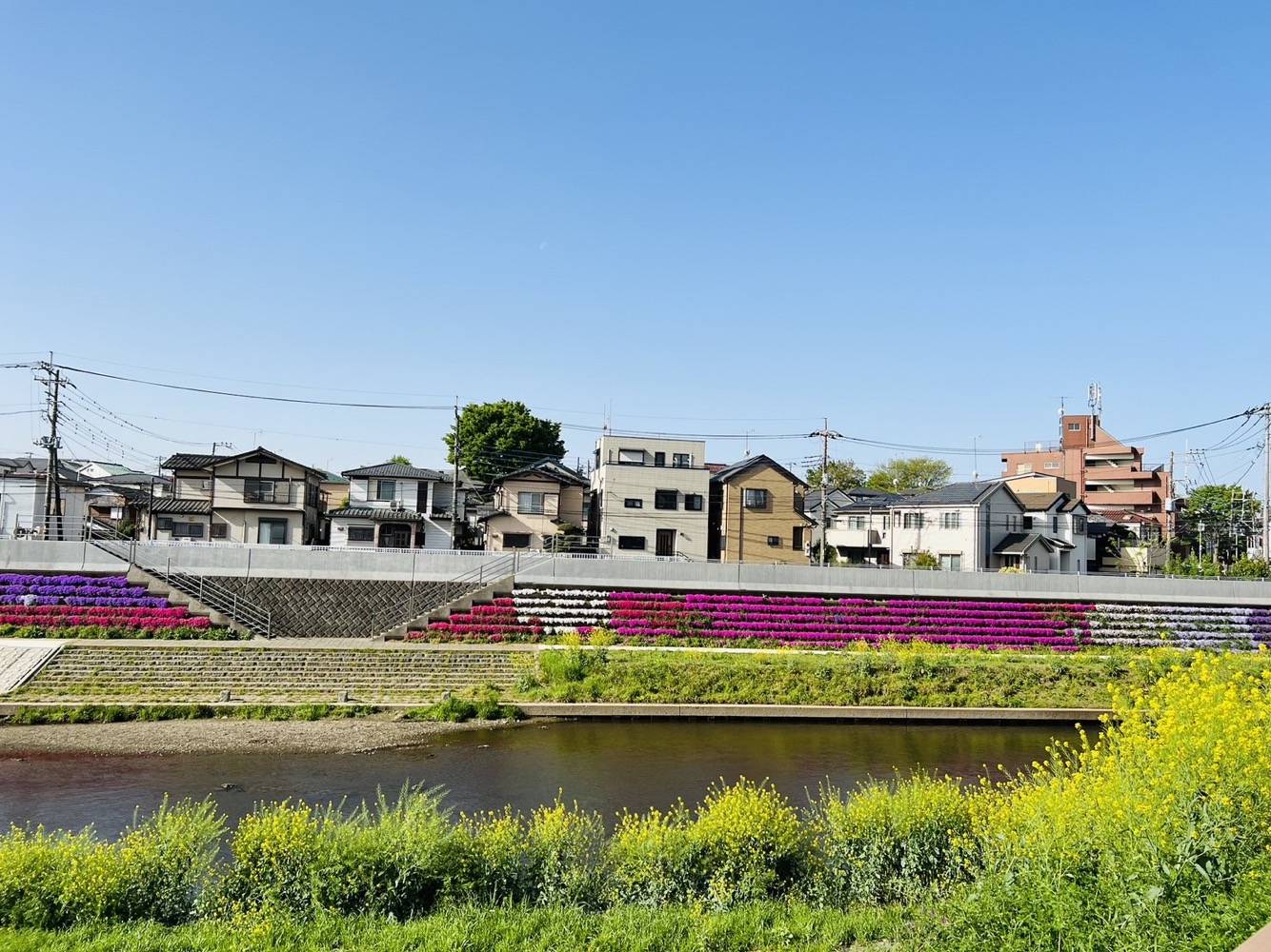 春ですね コーホクトーヨー住器のブログ 写真3