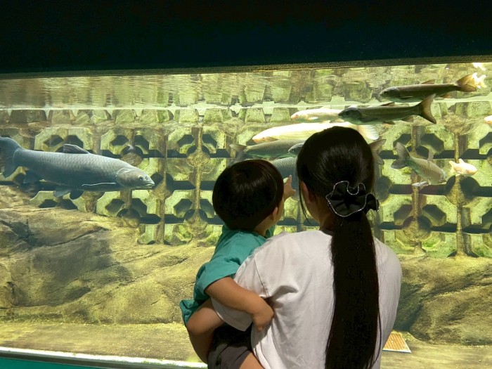 久しぶりの孫達とお出かけ！🚙🐟 コーホクトーヨー住器のブログ 写真1