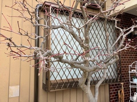 LUXSの★面格子設置／戸建／アルミ面格子ヒシクロス／ＬＩＸＩＬ／清瀬市の施工後の写真1