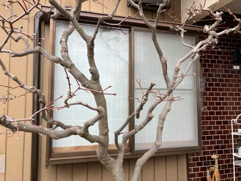 LUXSの★面格子設置／戸建／アルミ面格子ヒシクロス／ＬＩＸＩＬ／清瀬市の施工前の写真1