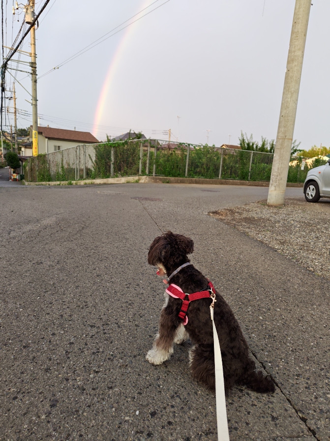 キレイな虹でした!🌈 青梅トーヨー住器 所沢店のブログ 写真1
