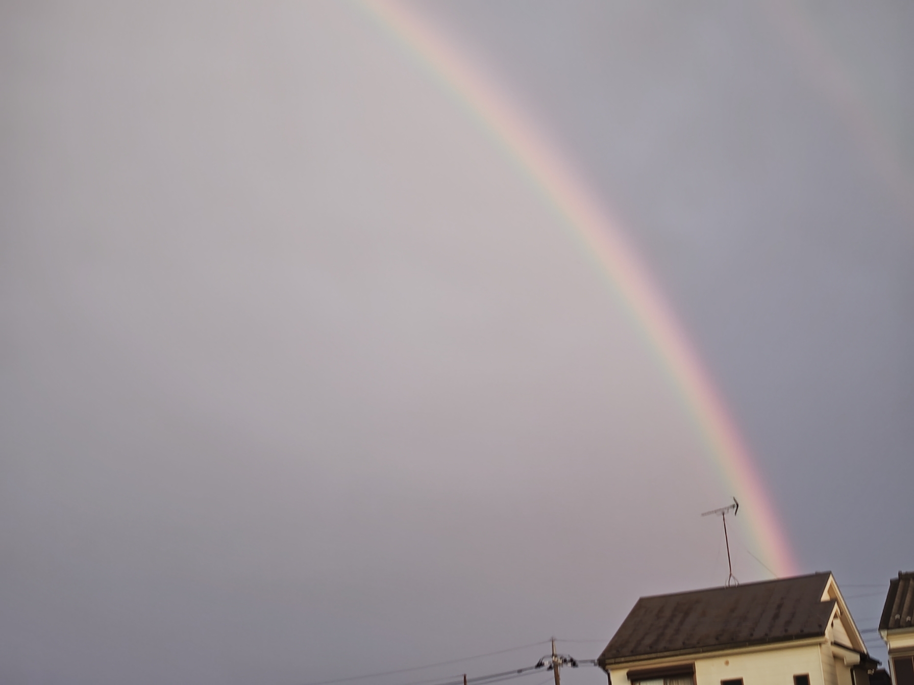 キレイな虹でした!🌈 青梅トーヨー住器 所沢店のブログ 写真2