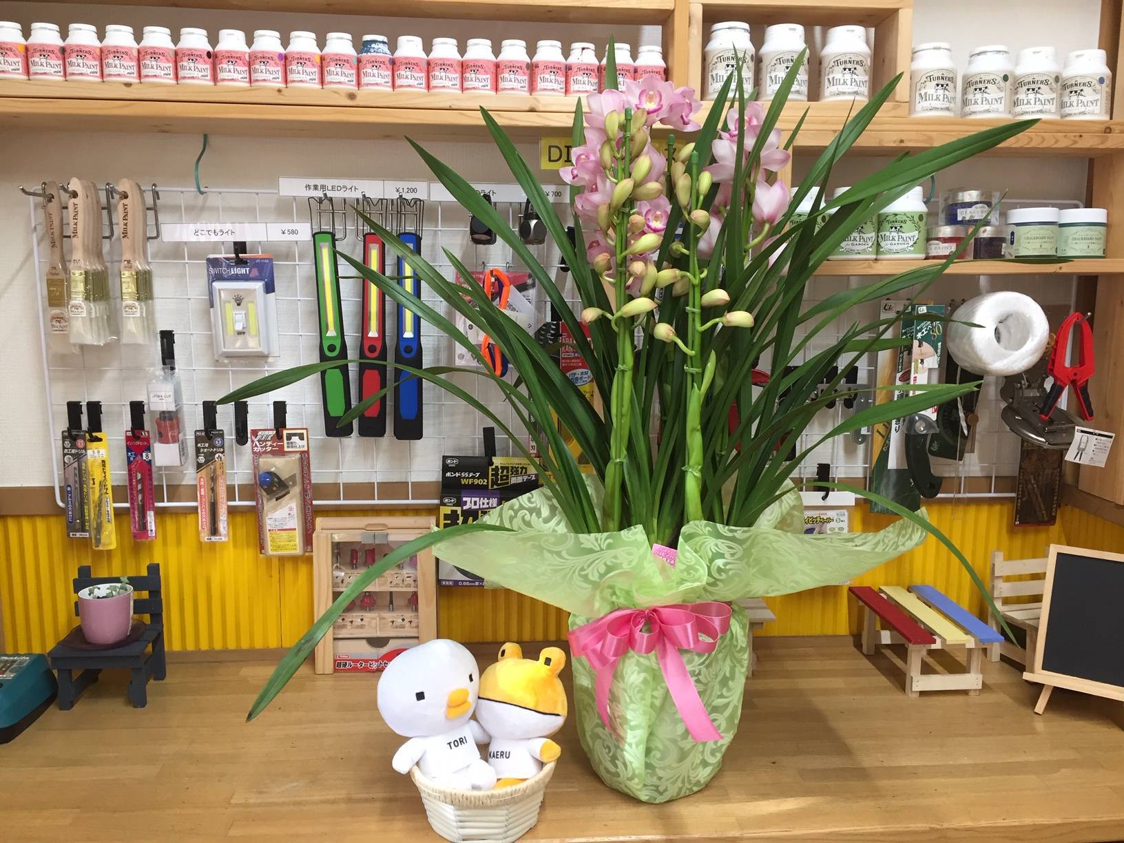 シンビジューム入荷しました。 花と窓の店 HANAMADOのブログ 写真1