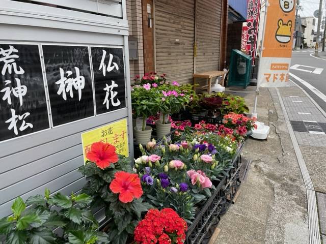 お花入荷しました。 花と窓の店 HANAMADOのイベントキャンペーン 写真3
