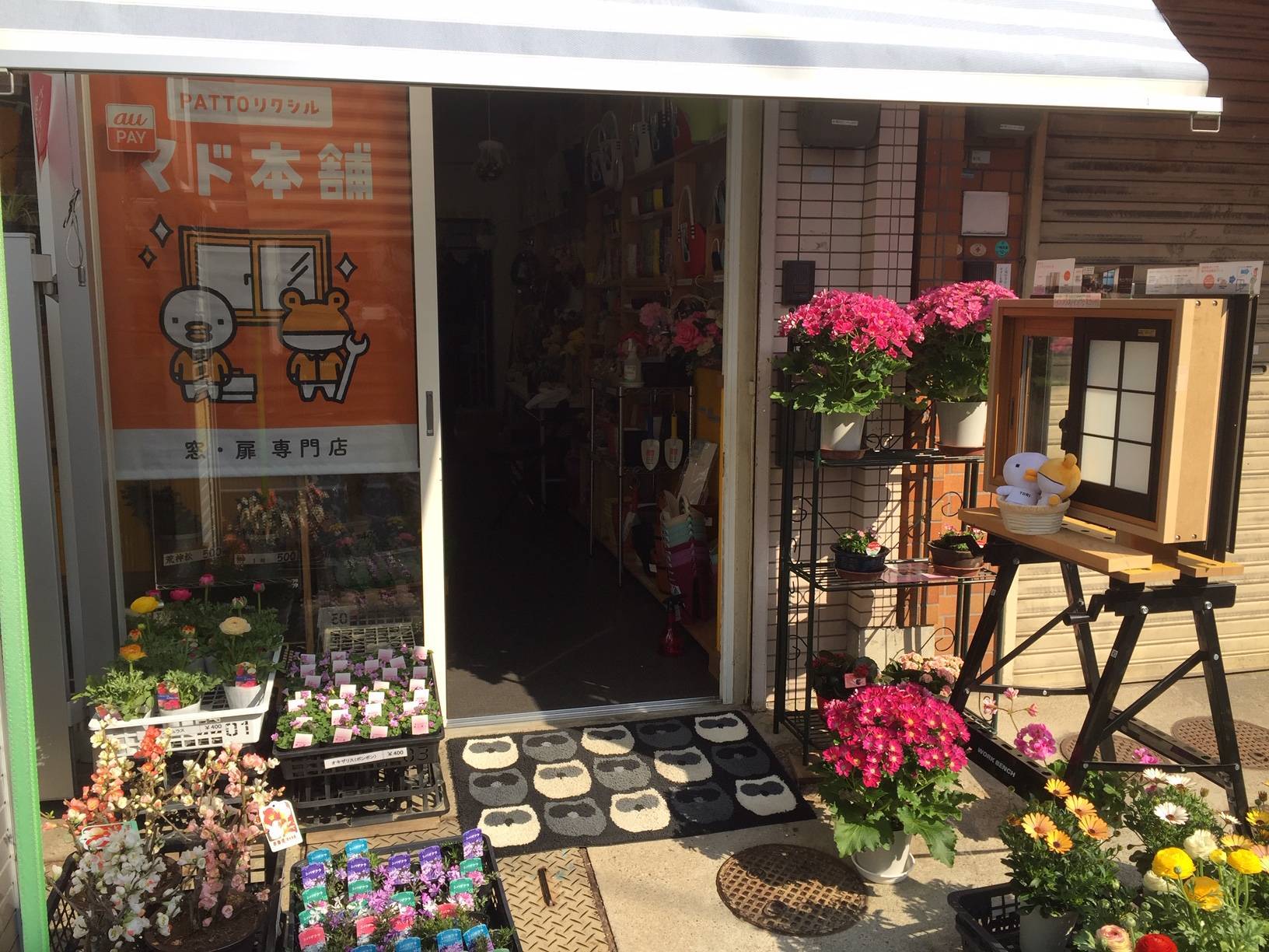 お店の外にインプラスのサンプルを展示しました。 花と窓の店 HANAMADOのブログ 写真1