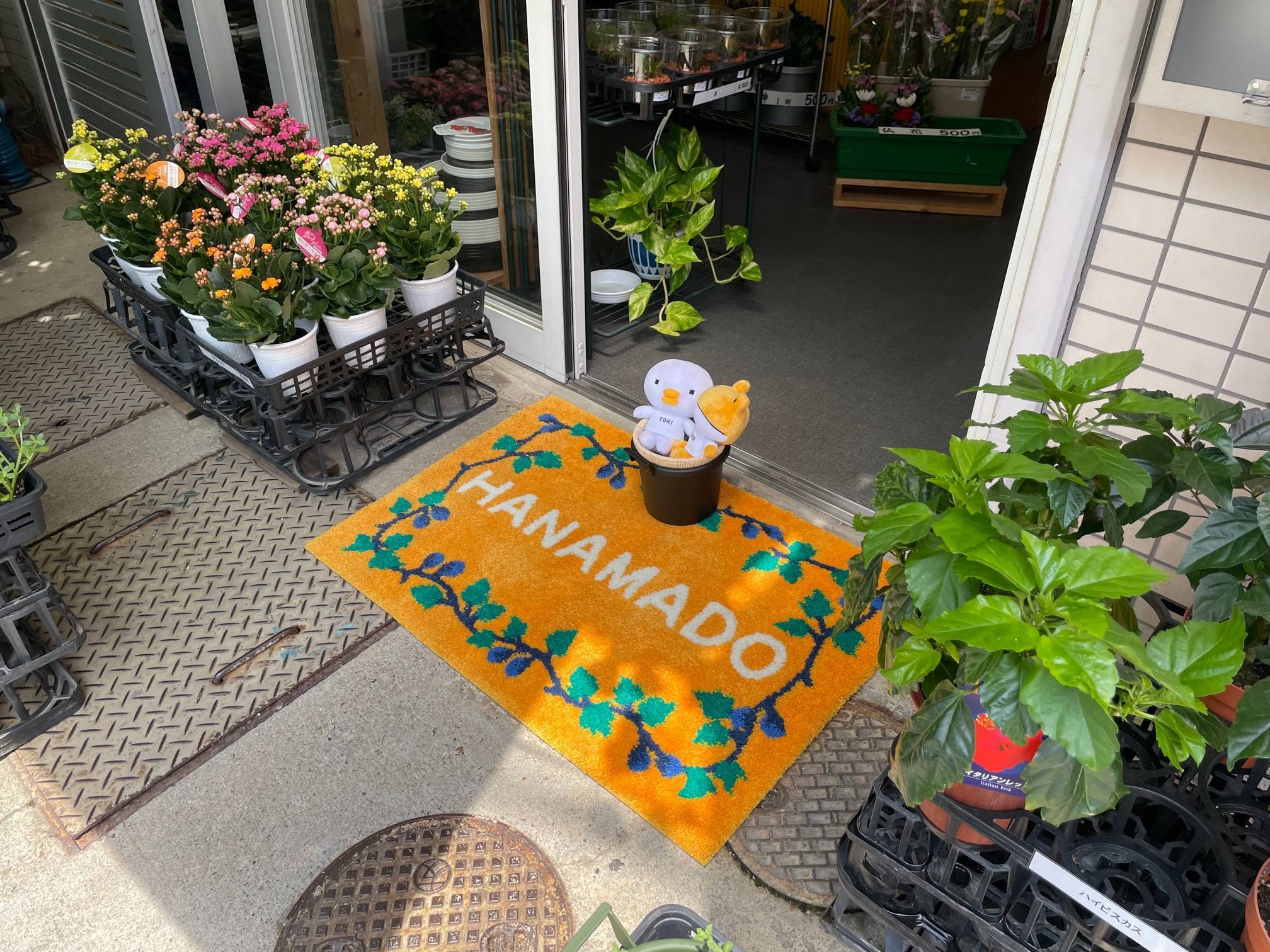 お店のマット新調しました！ 花と窓の店 HANAMADOのブログ 写真1