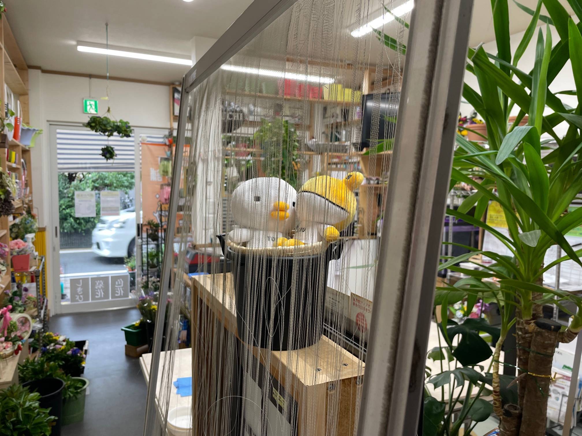 網戸の張替 花と窓の店 HANAMADOのブログ 写真1