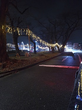 並木のイルミネーション 綿治硝子店のブログ 写真1