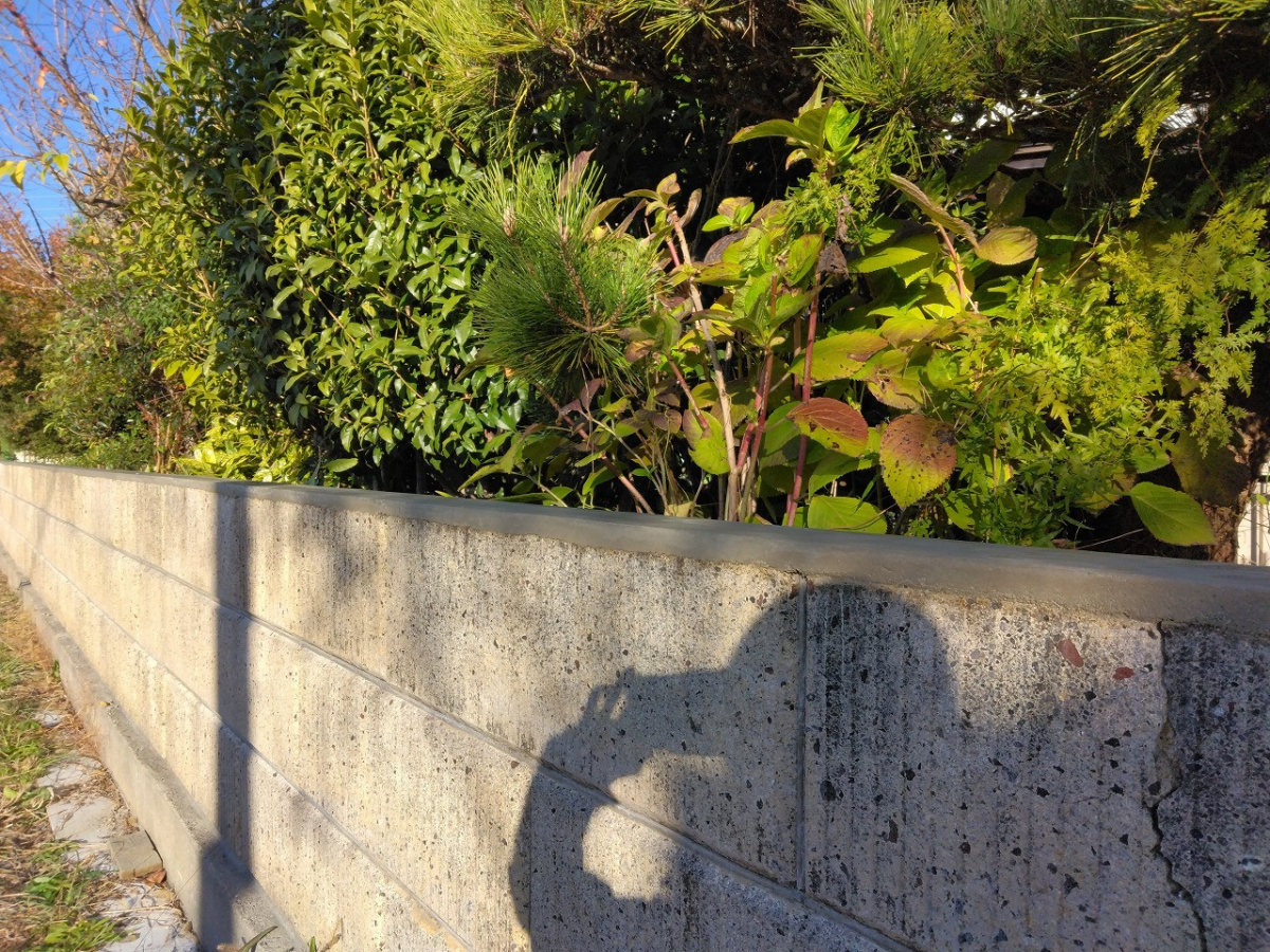 すまい：Ｒｅの0165　目隠しフェンス設置工事　和歌山県橋本市市脇の施工前の写真1