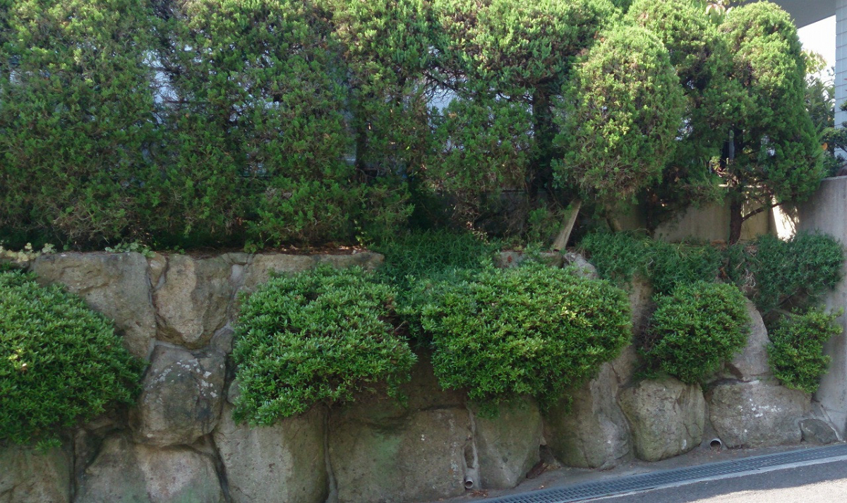 すまい:Reの2011 フェンス工事 和歌山県橋本市三石台の施工前の写真1