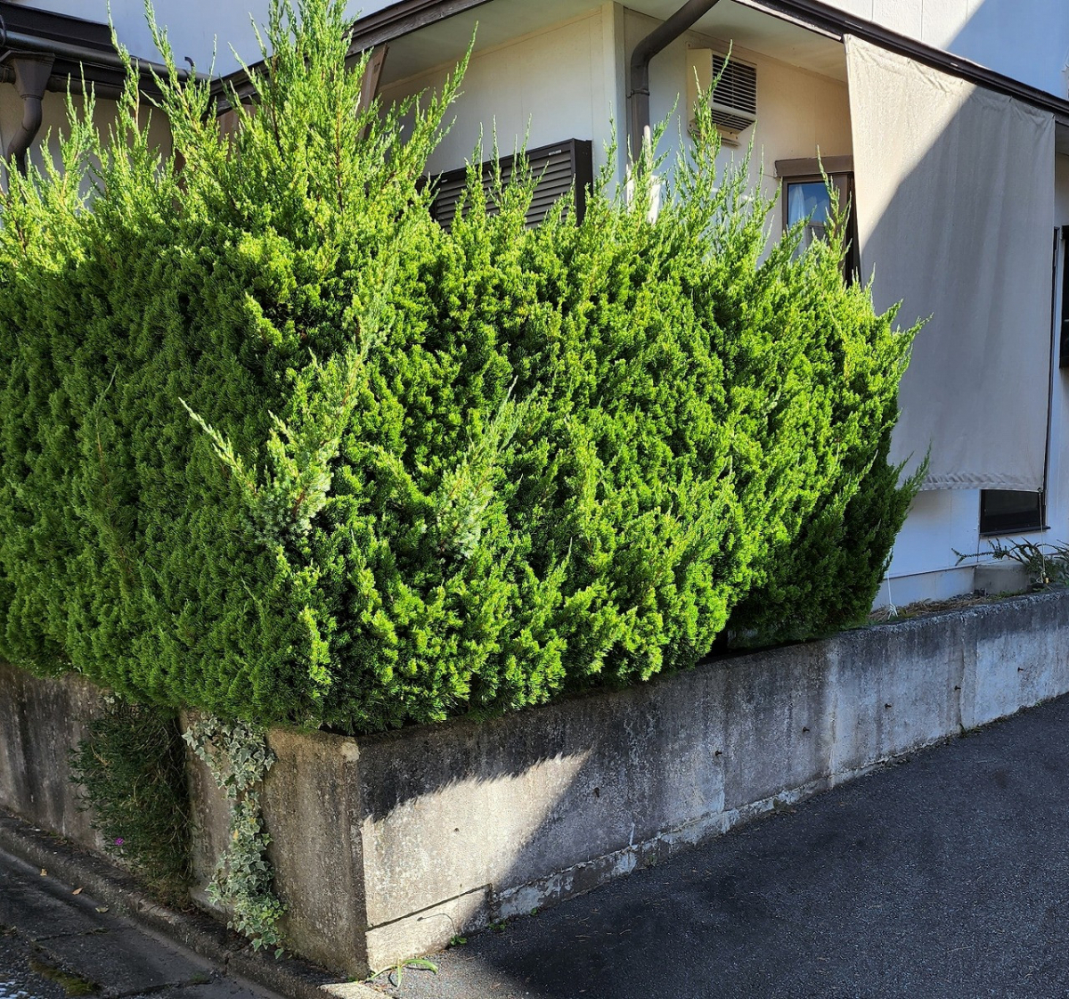 すまい：Ｒｅの0221　フェンス設置工事　和歌山県橋本市城山台の施工前の写真1