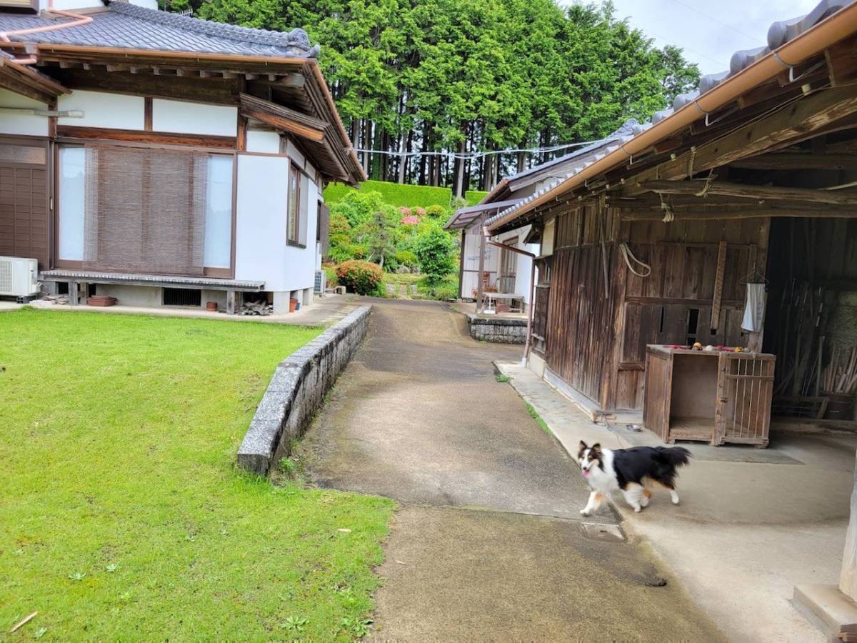 水戸トーヨー住器の常陸太田市　愛犬の日よけ取付工事の施工前の写真1