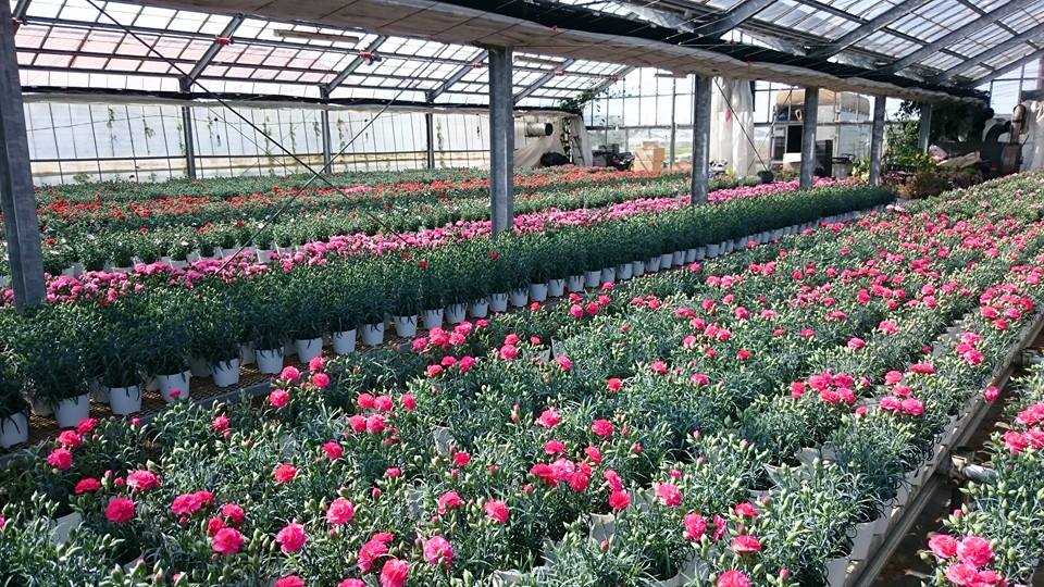 \2025年一宮町農林商工祭 出展者リスト|当社も出店!会場マップ付き📢/ 桶庄トーヨー住器のイベントキャンペーン 写真62