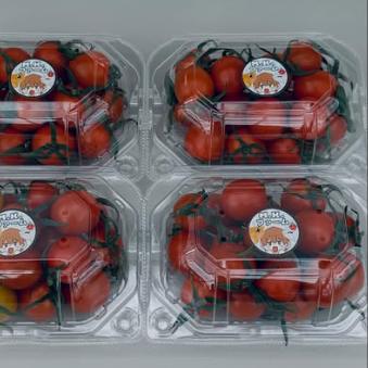 \2025年一宮町農林商工祭 出展者リスト|当社も出店!会場マップ付き📢/ 桶庄トーヨー住器のイベントキャンペーン 写真58