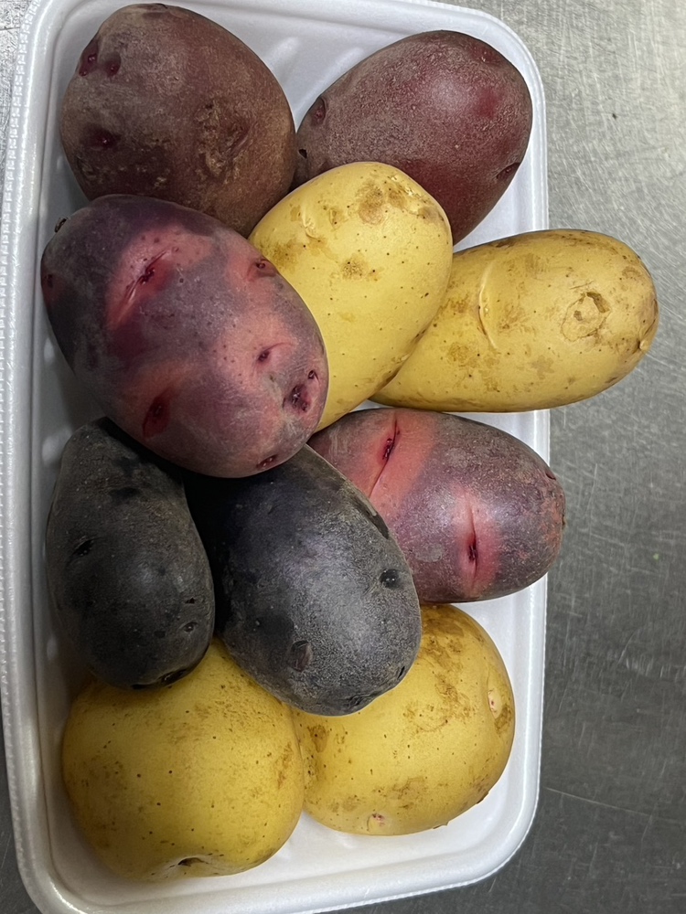 カラフルポテト 桶庄トーヨー住器のブログ 写真1