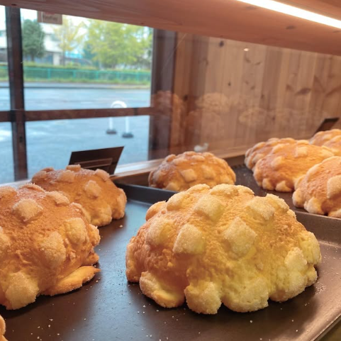 \2025年一宮町農林商工祭 出展者リスト|当社も出店!会場マップ付き📢/ 桶庄トーヨー住器のイベントキャンペーン 写真16