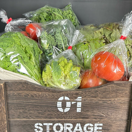 \2025年一宮町農林商工祭 出展者リスト|当社も出店!会場マップ付き📢/ 桶庄トーヨー住器のイベントキャンペーン 写真64