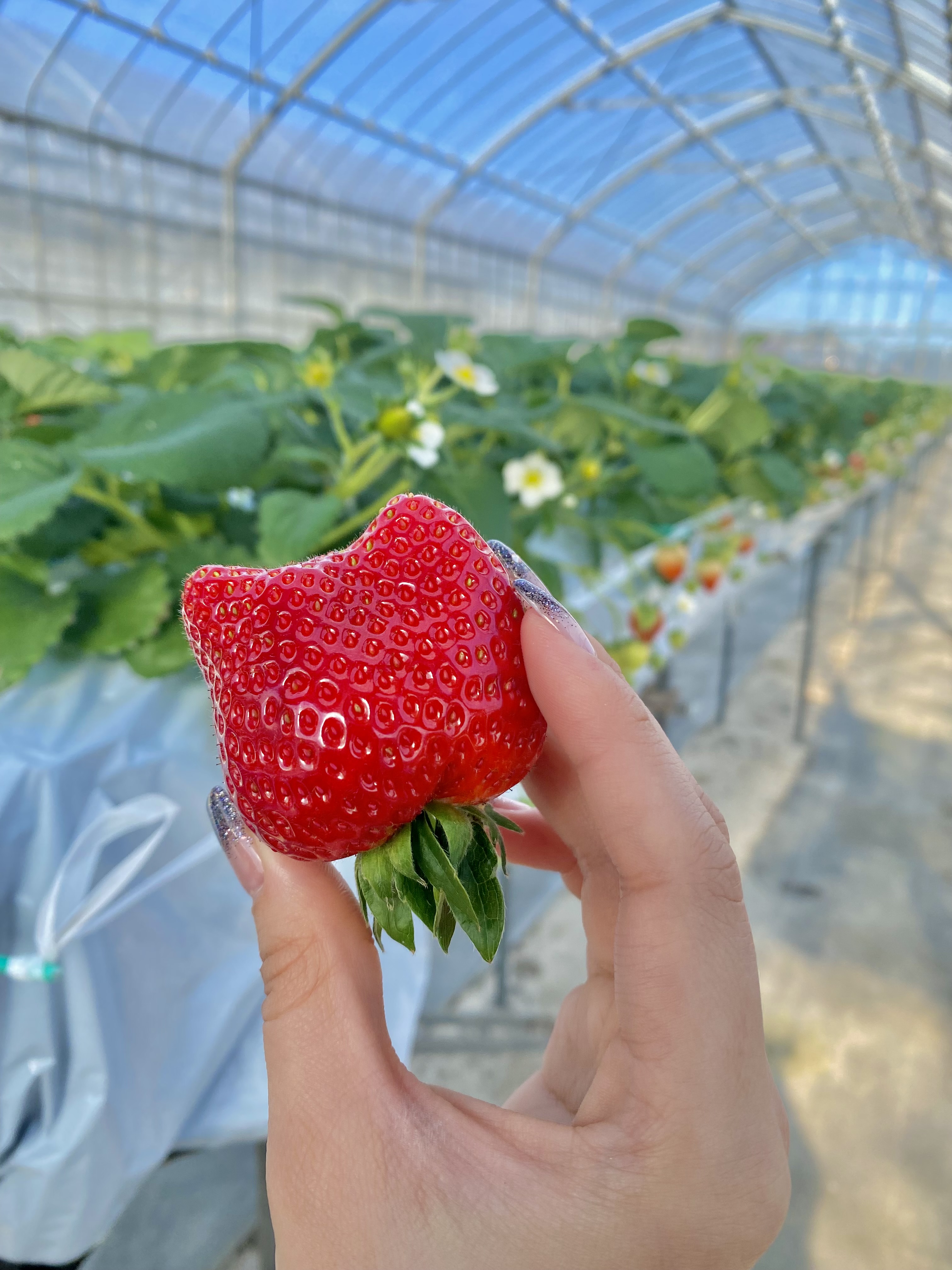 \2025年一宮町農林商工祭 出展者リスト|当社も出店!会場マップ付き📢/ 桶庄トーヨー住器のイベントキャンペーン 写真13