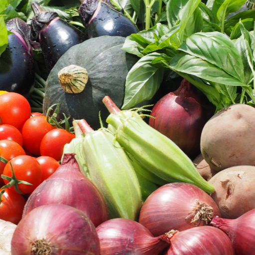 \2025年一宮町農林商工祭 出展者リスト|当社も出店!会場マップ付き📢/ 桶庄トーヨー住器のイベントキャンペーン 写真53